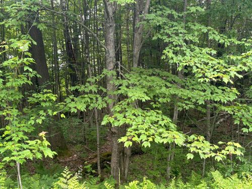 00 Vt Route 105, Brighton, VT, 05846 | Card Image