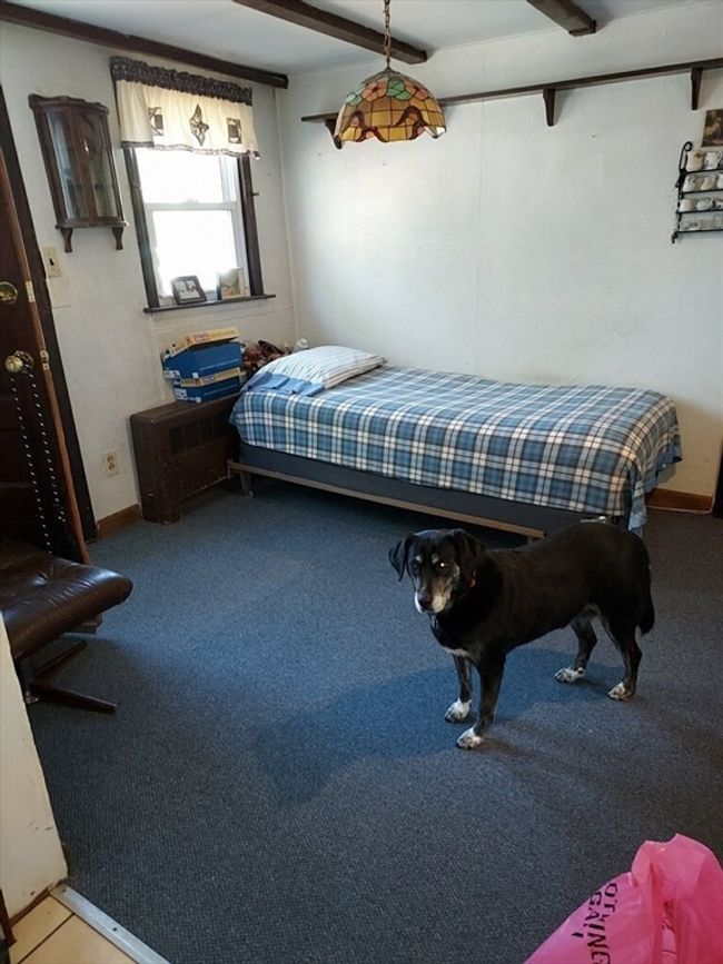 28 Stowe Rd, House other with 3 bedrooms, 1 bathrooms and 3 parking in Grafton MA | Image 9