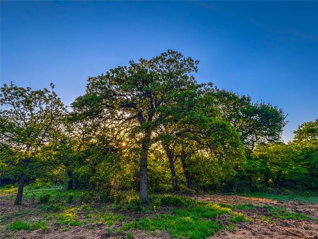 View of landscape | Image 27