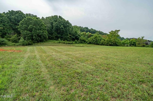 136 Baskett Road, Home with 0 bedrooms, 0 bathrooms and null parking in Jonesborough TN | Image 25