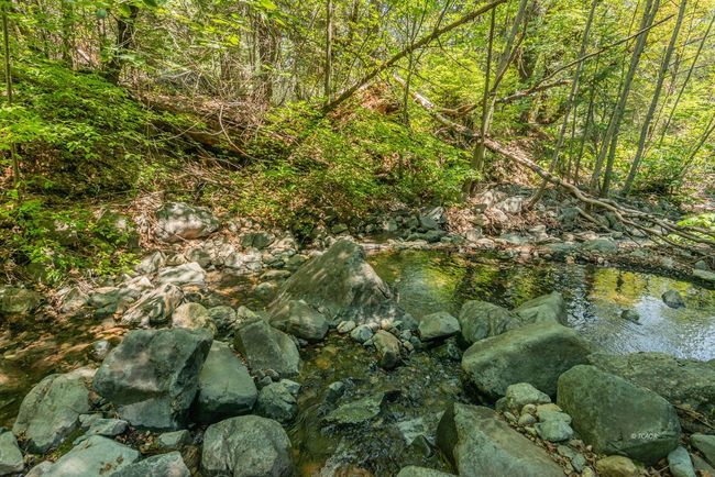 Ripple creek | Image 27