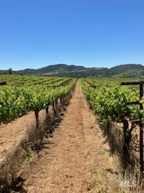 3585 Soda Canyon Rd, Napa, CA, 94558-9457 | Card Image