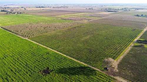 15910 N Locust Tree Road, Lodi, CA, 95240 | Card Image