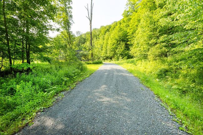 24780 State Highway 206, House other with 3 bedrooms, 2 bathrooms and null parking in Downsville NY | Image 45