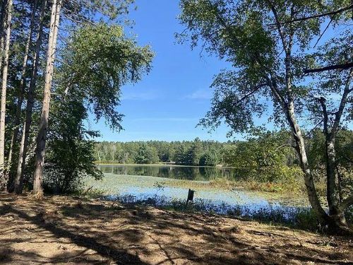 12.01 Acres Pine Shore Lane, KING, WI, 54487 | Card Image