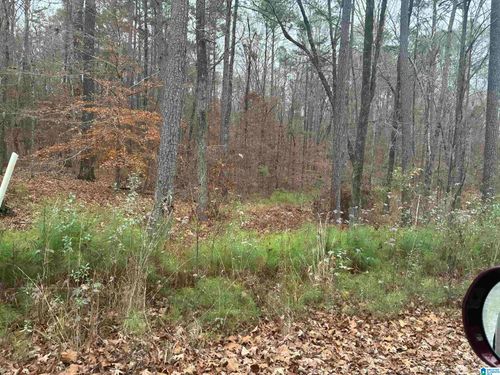 lot-11-651 Pine Mountain Trl, CHELSEA, AL, 35043-8255 | Card Image