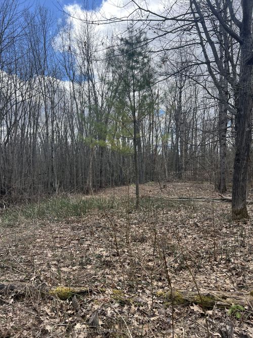 3159 Switch Road, Ramara, ON, L0K2B0 | Card Image