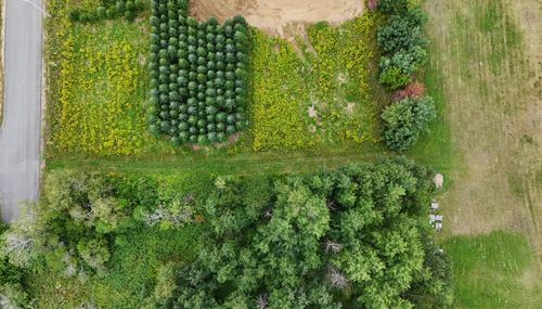 1 Village Acres Dr, Easton, ME, 04740-3200 | Card Image