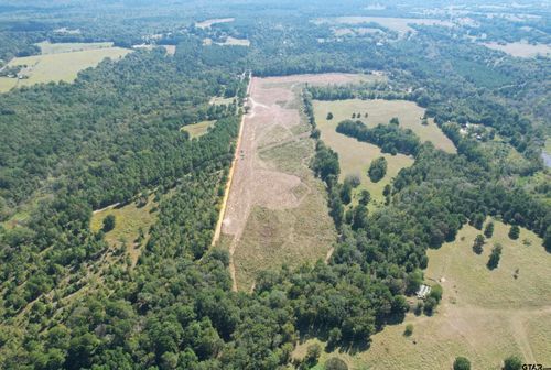 TBD-B County Road 4172d, Laneville, TX, 75667 | Card Image
