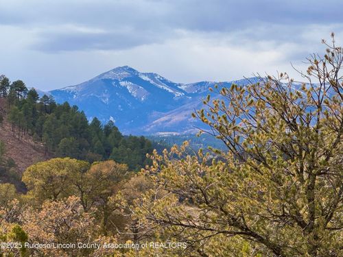 1146 Shoshone Trl, Alto, NM, 88312-9505 | Card Image