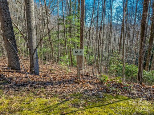 9-TBD Ladys Fern Trail, Laurel Park, NC, 28739 | Card Image
