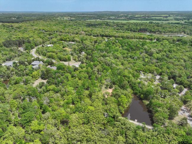 8950 Timber Rdg, Home with 0 bedrooms, 0 bathrooms and null parking in Larue TX | Image 6