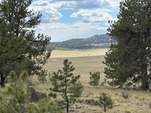 99 Arapahoe Ct, Hartsel, CO, 80449 | Card Image