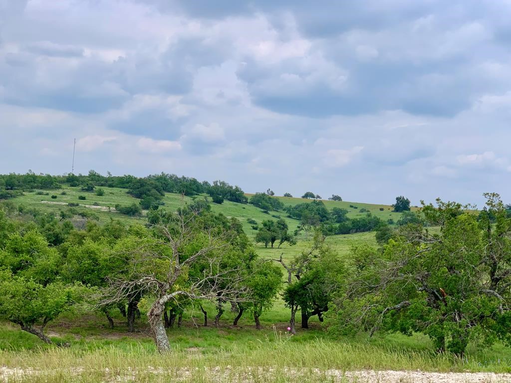 Land in Fredericksburg 5