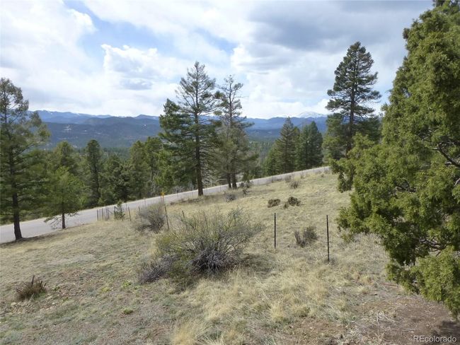 Front Yard | Image 30