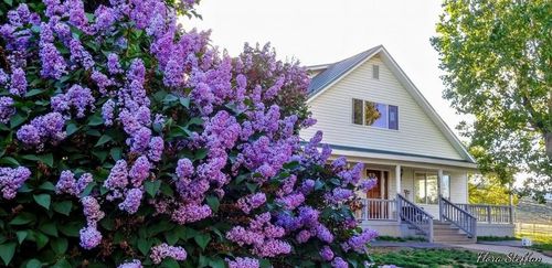 39042 Clover Flat Rd, Paisley, OR, 97636-9727 | Card Image