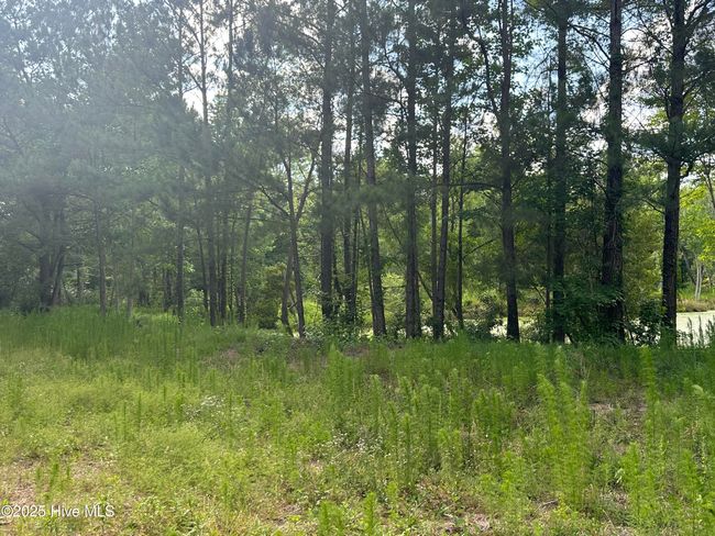 0000 Hubert Blvd, Home with 0 bedrooms, 0 bathrooms and null parking in Hubert NC | Image 10