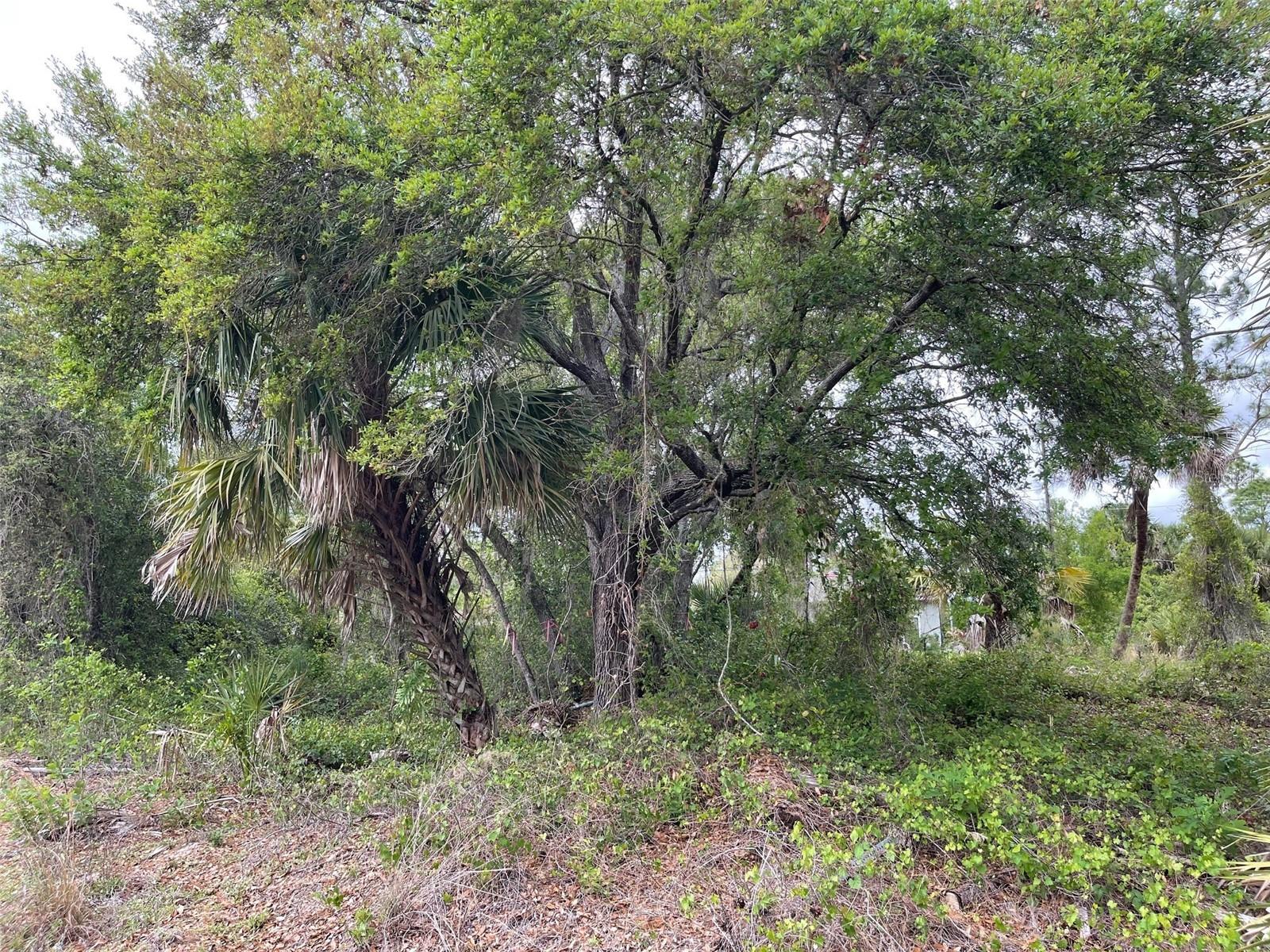 Land in NORTH PORT 4