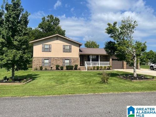 203 Hannah Ave Se, Attalla, AL, 35954-3417 | Card Image