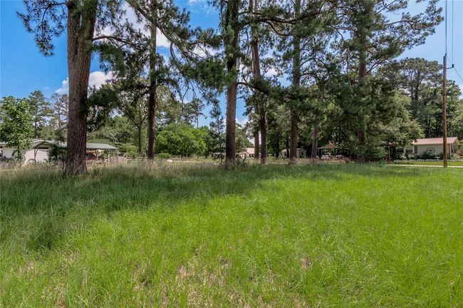 15 Hermitage, Home with 0 bedrooms, 0 bathrooms and null parking in Trinity TX | Image 4