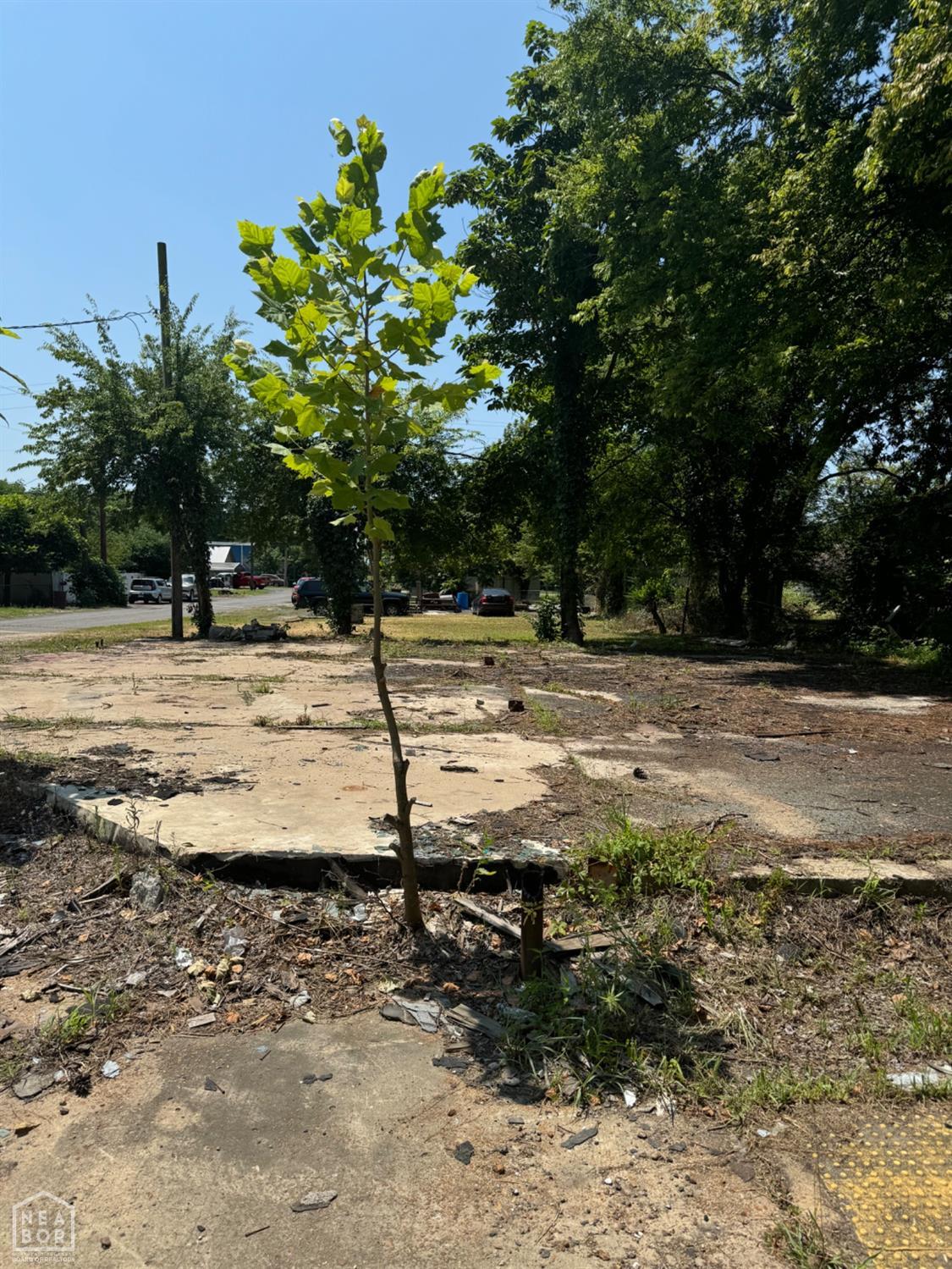 Borders St, Newport, AR 72112