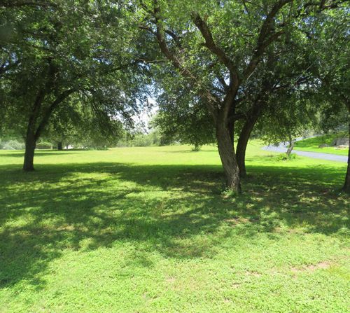 Lot 67 Bridgepoint Dr, Kingsland, TX, 78639 | Card Image