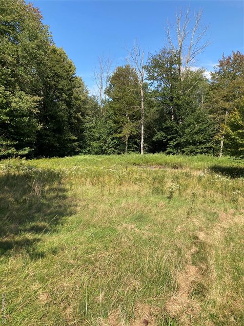 699 Budd Rd, Woodbourne, NY, 12788-5109 | Card Image