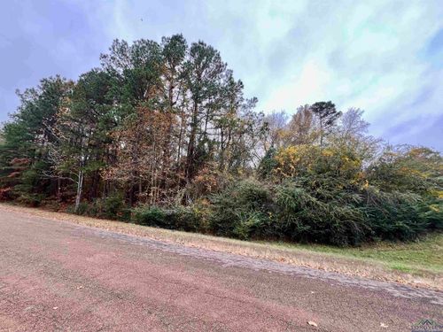 TBD State Hwy 390 Loop, Marshall, TX, 75672 | Card Image