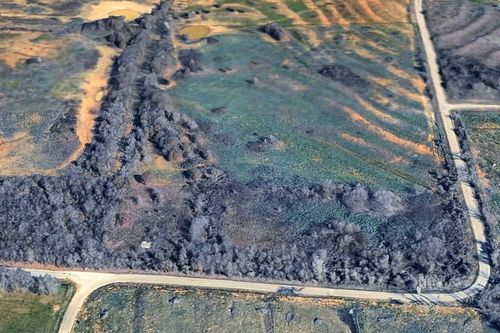 890 Clover Drive, Poolville, TX, 76487 | Card Image