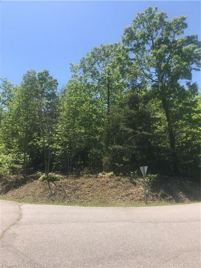 19 Rose Briar Rd, Home with 0 bedrooms, 0 bathrooms and null parking in Boomer NC | Image 31