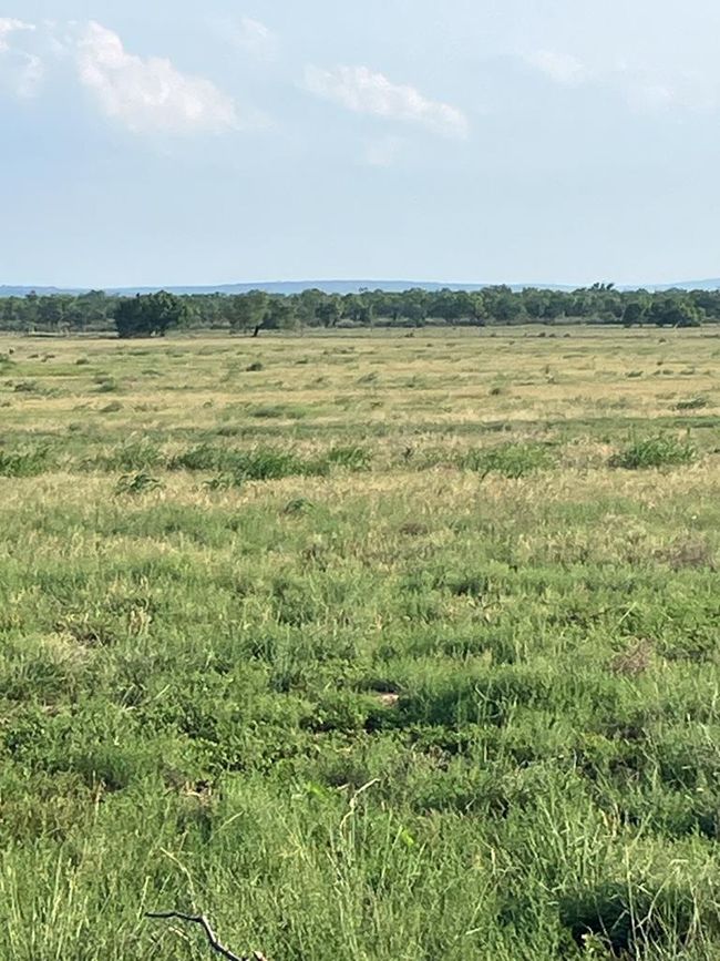 6995 County Road 204, Home with 0 bedrooms, 0 bathrooms and null parking in San Saba TX | Image 6