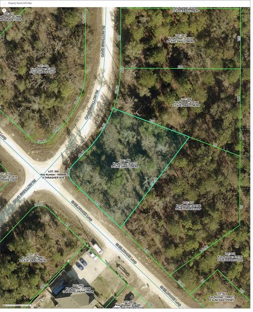 16008 Cave Swallow Road, BROOKSVILLE, FL, 34614 | Card Image