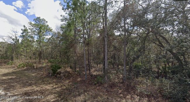 11114 Song Sparrow Ave, Home with 0 bedrooms, 0 bathrooms and null parking in WEEKI WACHEE FL | Image 5