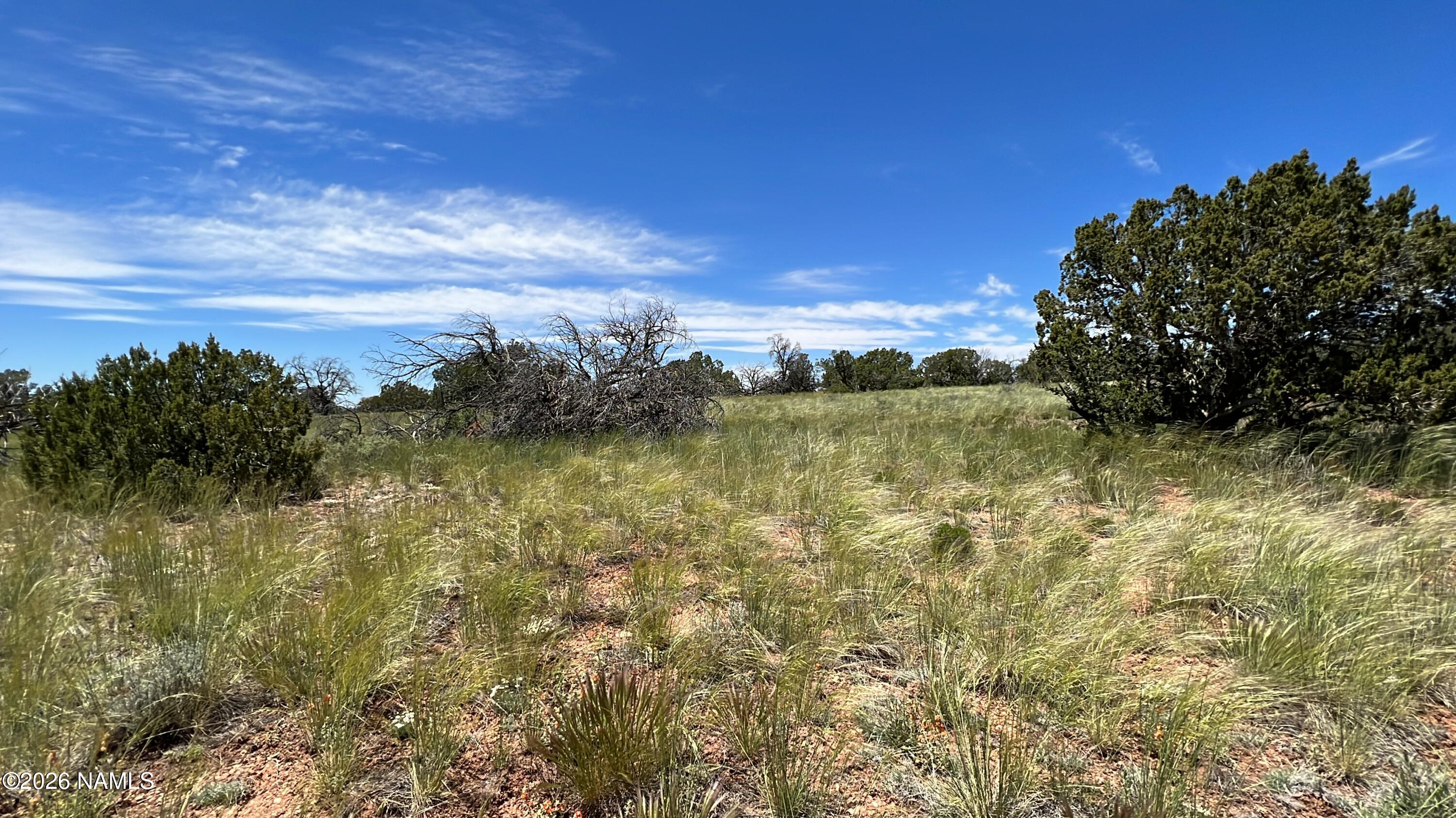 Land in Williams 2