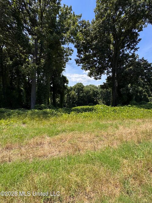 10533 Spring River Cv, Lake Cormorant, MS, 38641-9147 | Card Image