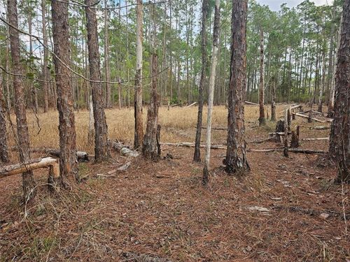 Tbd Chinaberry St, Eustis, FL, 32736 | Card Image