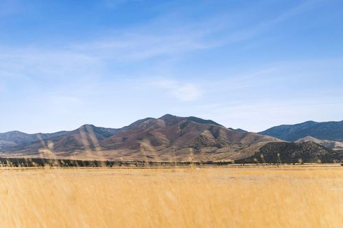 1565 W Sunflower Ln, Fillmore, UT, 84631 | Card Image