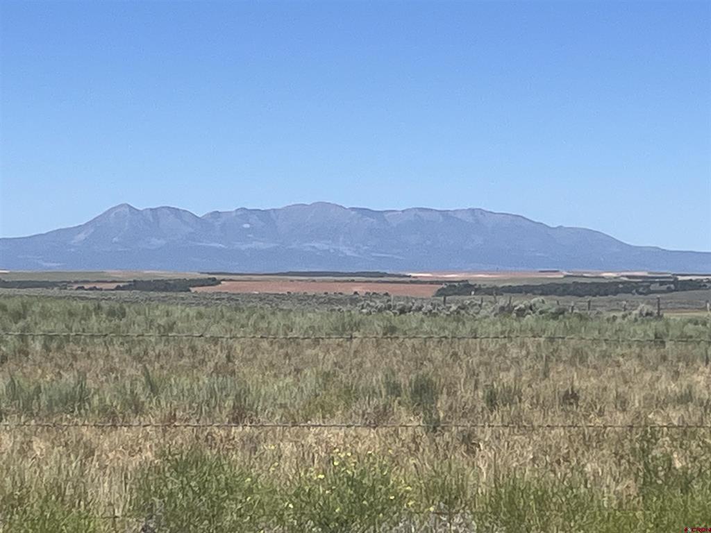 Land in Dove Creek