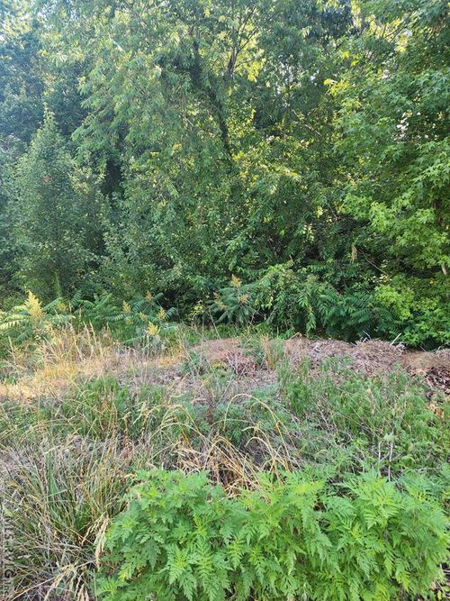 Lot 14 Stoneybrook Dr, Roanoke Rapids, NC, 27870 | Card Image