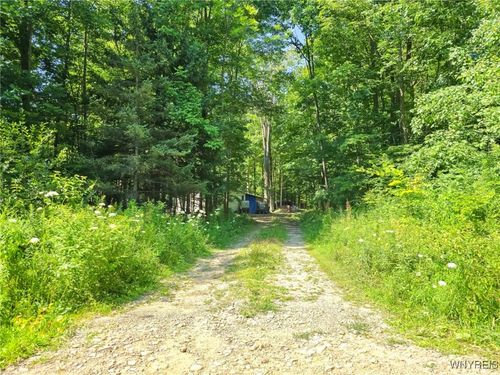 lot-c-6891 Mount Monroe Rd, Cuba, NY, 14727-9278 | Card Image