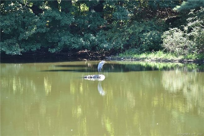 639 Reservoir Rd, House other with 3 bedrooms, 3 bathrooms and null parking in Cheshire CT | Image 34