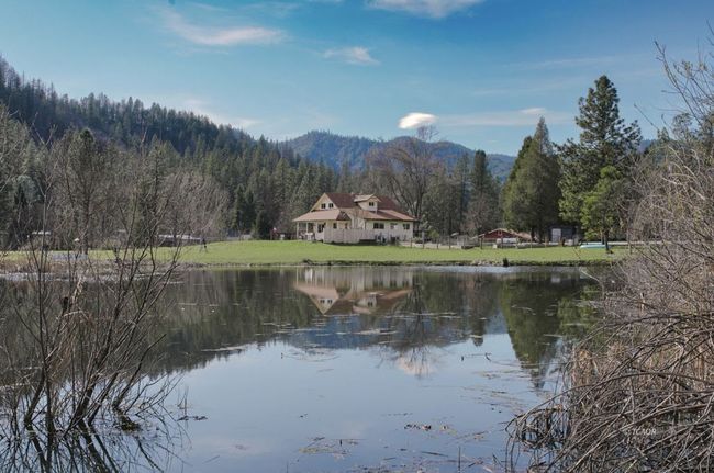 pond | Image 15