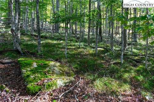 123 Briarwood Ln, Beech Mountain, NC, 28604-8032 | Card Image