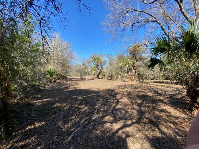 15936 306 Th St, Home with 0 bedrooms, 0 bathrooms and null parking in Okeechobee FL | Image 6