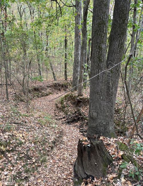 3 Acres County Road 389, Bono, AR, 72416 | Card Image