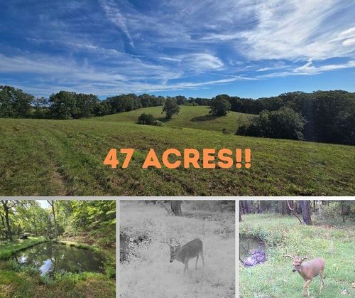 Tbd Longview Rd, Elk Creek, MO, 65464 | Card Image