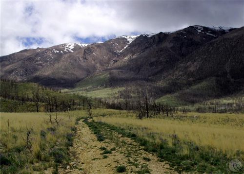 tbd Gold Creek Rd, Belfry, MT, 59008 | Card Image