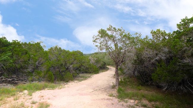 251 Post Mountain Rd, Home with 0 bedrooms, 0 bathrooms and null parking in Burnet TX | Image 5