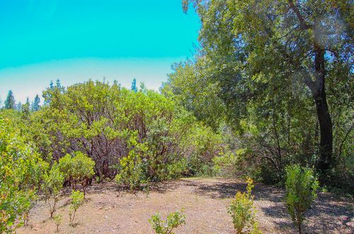 14515 Manzanita Rd, Sutter Creek, CA, 95685-9772 | Card Image