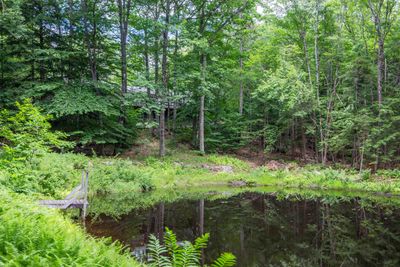 71-ANDAMP-72 - 47 Eutaw Place Road, House other with 3 bedrooms, 1 bathrooms and null parking in Tamworth NH | Image 2